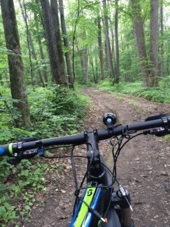 ������ ��������� ������� � ��� ������ (���� �4)