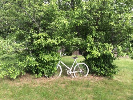 ������ ��������� ������� � ��� ������ (���� �2)