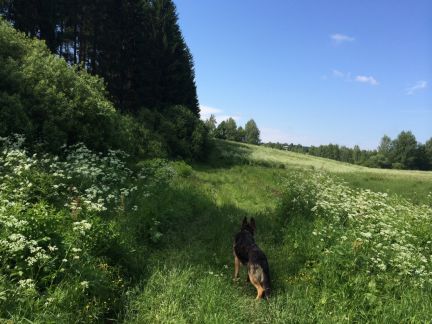 ������ ��������� ������� � ��� ������ (���� �5)