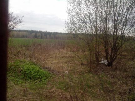 ������ ��������� ������� 6 ����� �� ����-������� (���� �8)