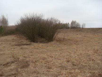 ������ ��������� ������� �. ������� (���� �3)