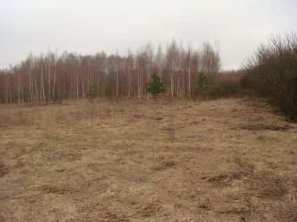 ������ ��������� ������� �. ������� (���� �2)