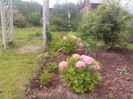 ������ ��������� ������� �� 76 �� �� ���� �� ������������ ����� (���� �10)