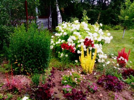 ������ ��������� ������� �� 76 �� �� ���� �� ������������ ����� (���� �14)