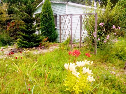 ������ ��������� ������� �� 76 �� �� ���� �� ������������ ����� (���� �17)