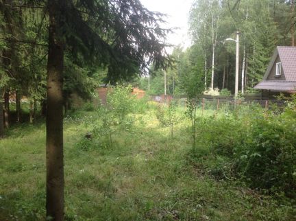 ������ ��� ����������� ����� ���� �������� (���� �5)