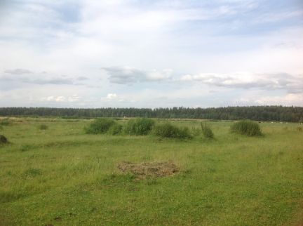 ������ ��� ����������� ����� ���� �������� (���� �6)