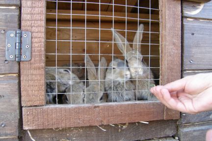 ������ ��������� ������� ������������ (���� �12)