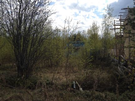 ������ ��������� ������� � ��� ������ (���� �2)