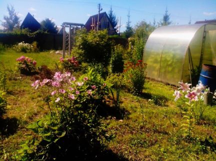 ������ ��������� ������� �� 76 �� �� ���� �� ������������ ����� (���� �19)