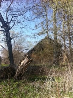 ������ ��������� ������� 15 ����� ��������-��������� ����� ���� ����������� (���� �2)