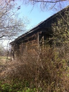 ������ ��������� ������� 15 ����� ��������-��������� ����� ���� ����������� (���� �8)