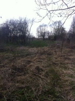 ������ ��������� ������� 15 ����� ��������-��������� ����� ���� ����������� (���� �10)