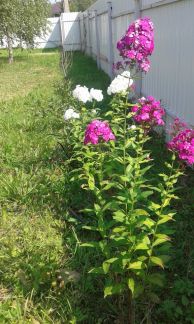 ������ ��������� ������� ����-��������� ����� �. �������� (���� �2)