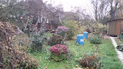 ������ ��������� ������� � ��� ������� (���� �2)