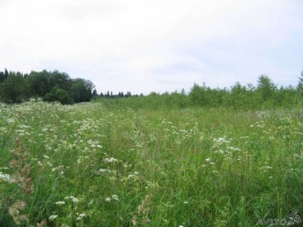 ������ ��������� ������� ��������������� ����� �. ��������� (���� �3)