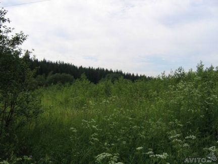 ������ ��������� ������� ��������������� ����� �. ��������� (���� �4)