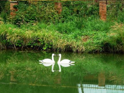 ����� ��� � �� ����������� (���� �3)