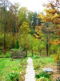 ����� ��� � �� ����������� (���� �4)