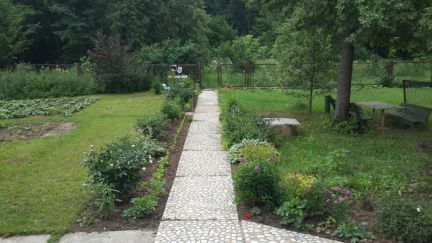 ����� ��� � �� ����������� (���� �6)