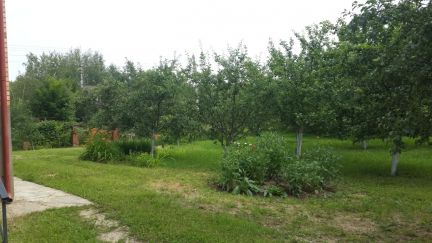 ����� ��� � �� ����������� (���� �7)