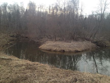 ������ ��������� ������� ������� �������� (���� �3)