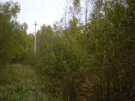 ������ ��������� ������� �� 115 �� �� ���� �-� ����-��������� �. ��������� (���� �2)