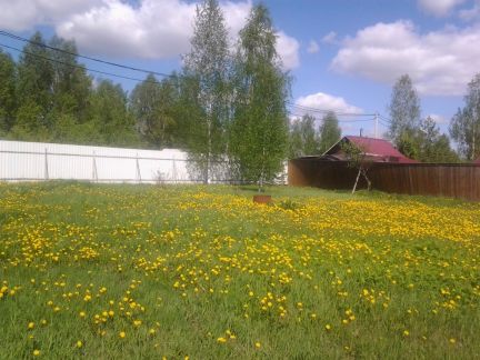 ������ ��������� ������� �� 100�� �� ���� �. ������ (���� �4)