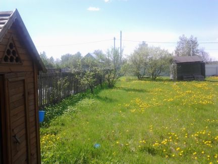 ������ ��������� ������� �� 100�� �� ���� �. ������ (���� �3)