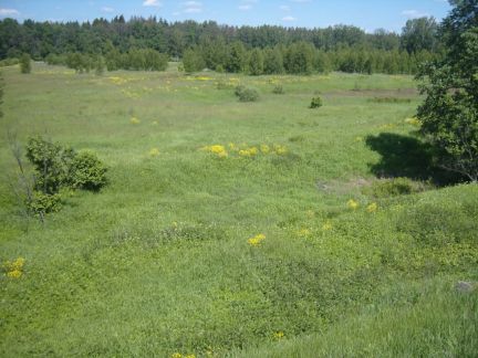 ������ ��������� ������� �� 48 �� �� ���� ��������� ��������� ����� (���� �5)