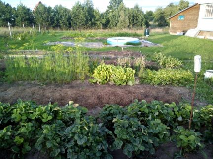 ������ ��� �� 160 �� �� ���� ��������� ����� ������� ���� ����� (���� �2)