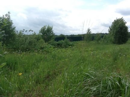 ������ ��������� ������� ���������� ������� ����������� ����� ���� ������� (���� �2)