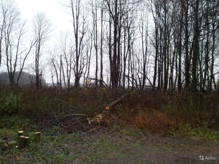 ������ ��������� ������� �. ��������� ��������� ����� ���������� ����� ���������� ���. (���� �3)