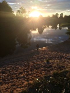 ������ ��������� ������� ������� ���������� (���� �8)