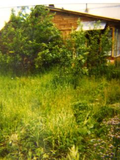 ������ ��������� ������� � ��� ������ (���� �2)