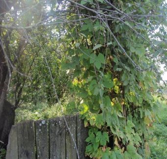 ������ ��������� ������� ���������� ������� ���� ������ �� �������� ��� 22 (���� �3)