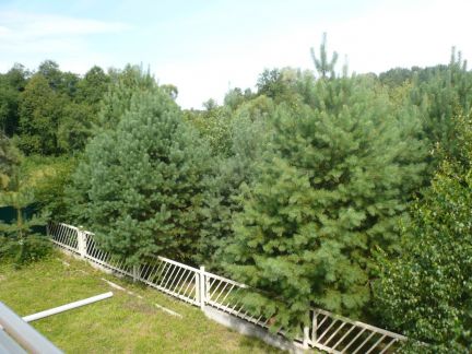 ����� ��� ��������� ��������� ����� 43-� � ��������������� (���� �4)