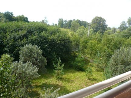 ����� ��� ��������� ��������� ����� 43-� � ��������������� (���� �5)