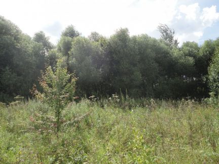 ������ ��������� ������� �� 7 �� �� ���� �. ������ 7� (���� �5)