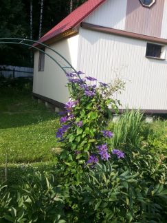 ������ ��������� � ��� �������� ���������� ����� (���� �5)