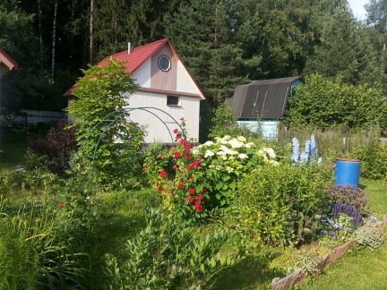 ������ ��������� � ��� �������� ���������� ����� (���� �4)