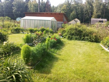 ������ ��������� � ��� �������� ���������� ����� (���� �3)