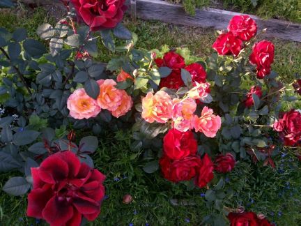 ������ ��������� � ��� �������� ���������� ����� (���� �11)