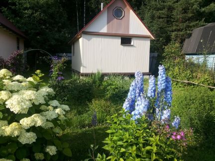 ������ ��������� � ��� �������� ���������� ����� (���� �10)