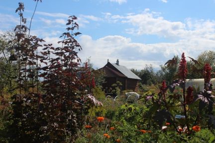 ������ ��������� ������� �.���������-��������� �.�������� (���� �2)