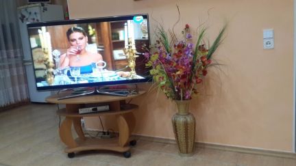 ������ �������� ����������� ��� �� 23 (���� �1)