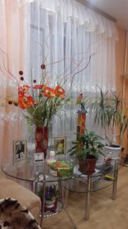 ������ �������� ����������� ��� �� 23 (���� �3)