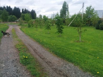 ������ ��������� ������� � ��� ������ �������� (���� �3)