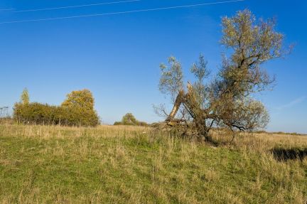 ������ ��������� ������� �������� ������� ������� ������� (���� �2)