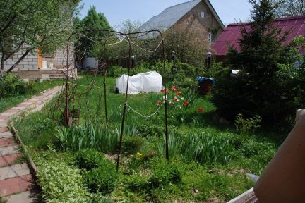 ������ ��� � ��� ������� �� 18 �� �� ���� (���� �8)